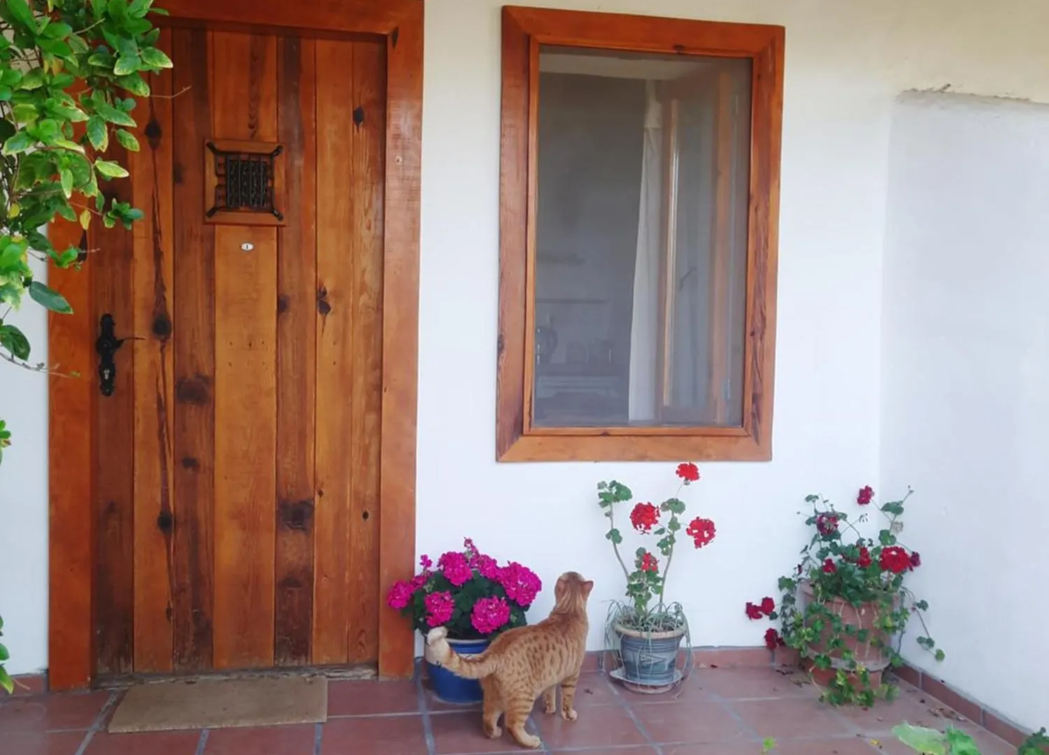 Ionia Guest House Aydin Turkey