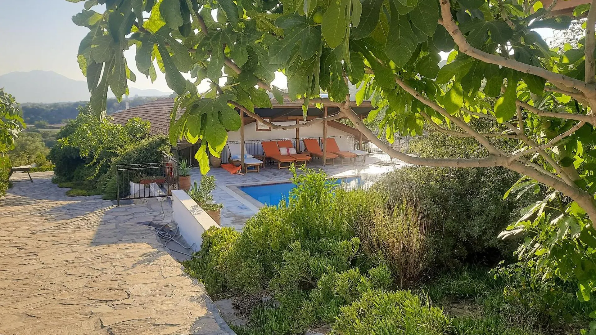 Ionia Guest House Aydin Turkey