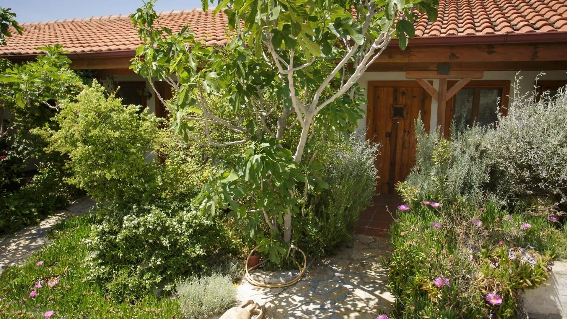 Ionia Guest House Aydin