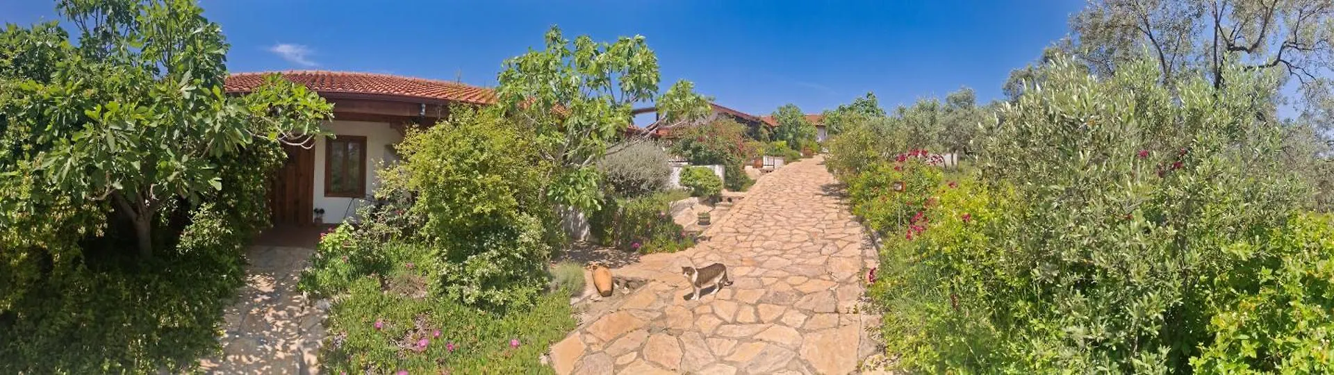 Ionia Guest House Aydin Turkey