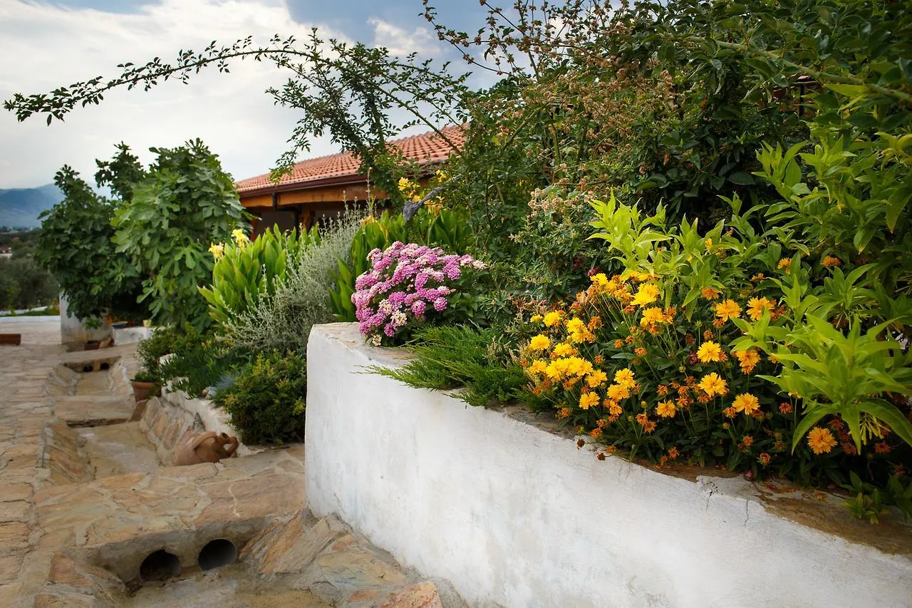 Ionia Guest House Aydin