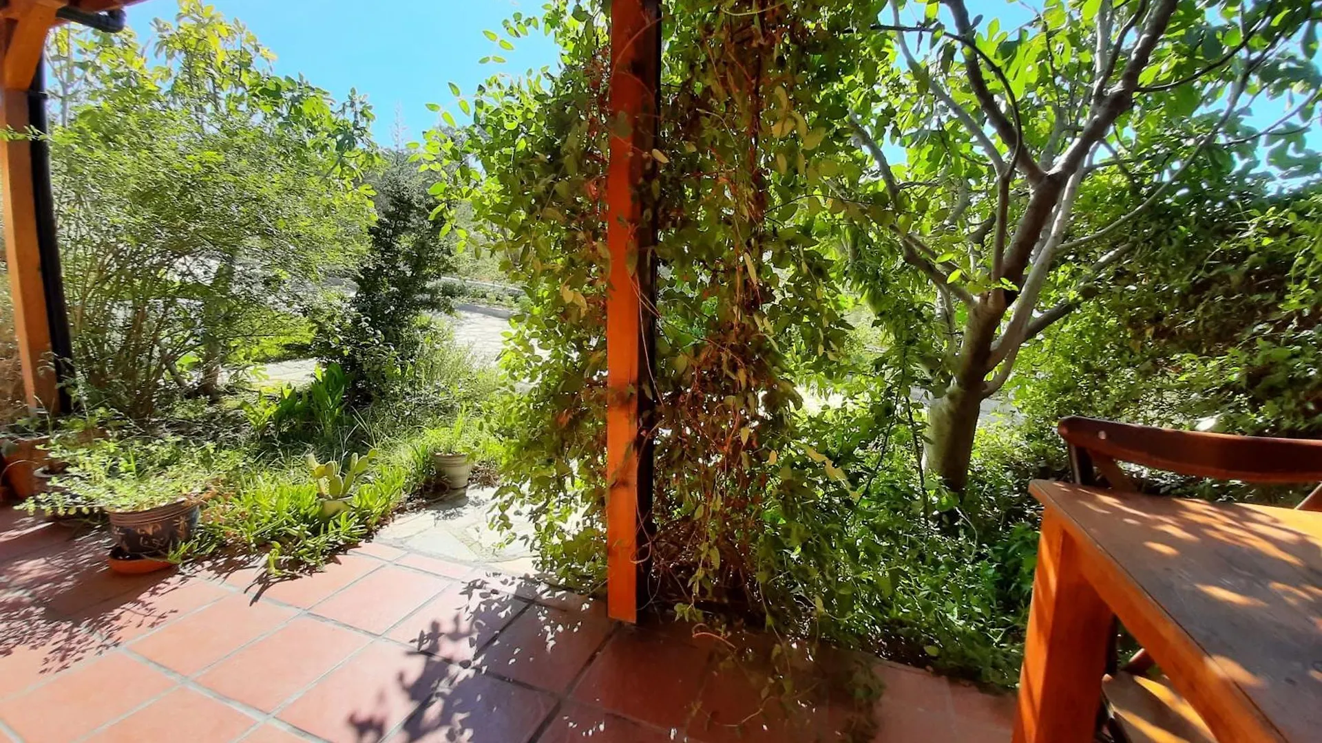 Ionia Guest House Aydin Turquie