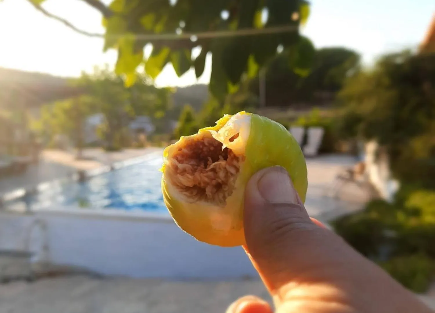 Ionia Guest House Aydin