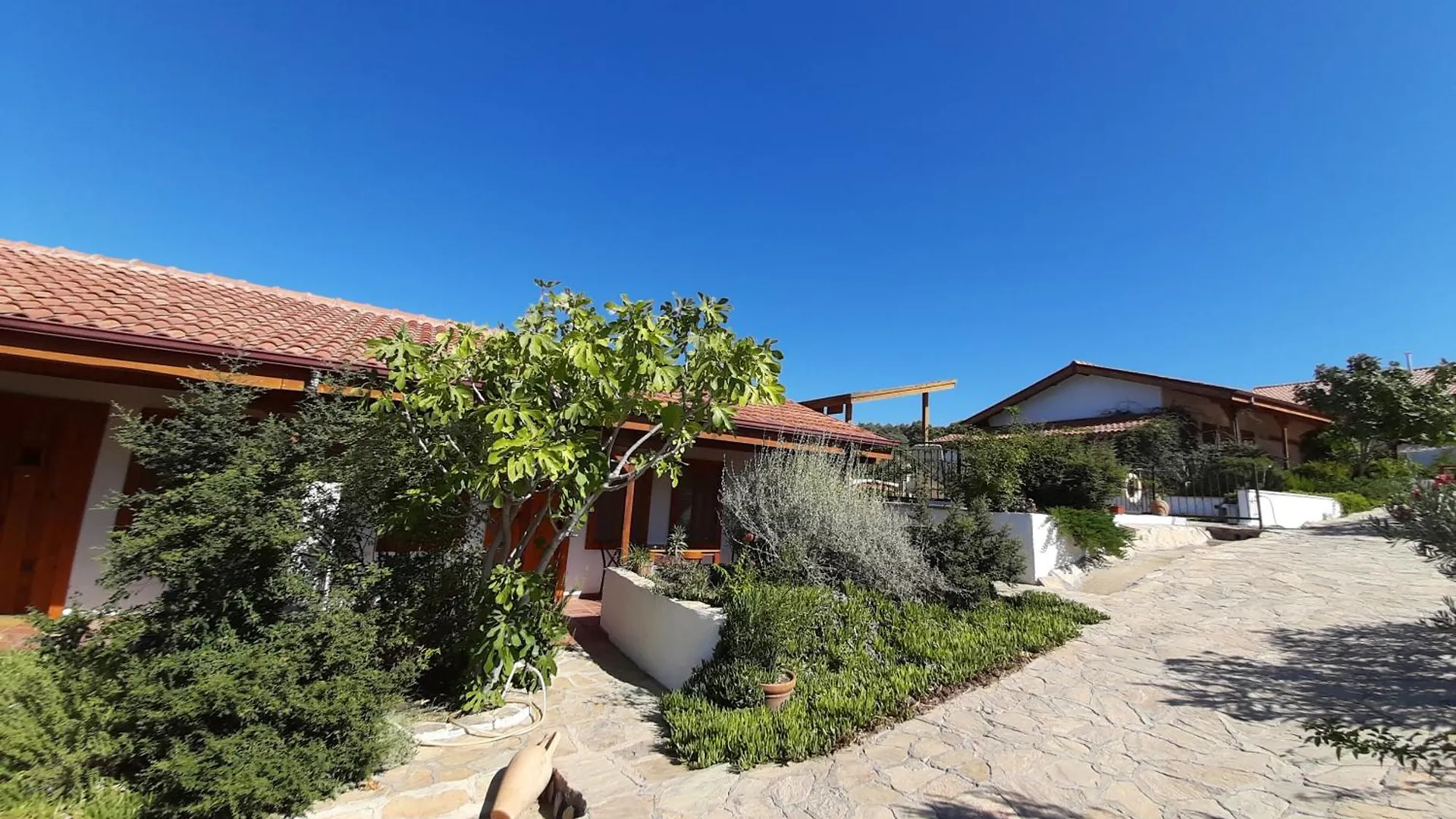 Ionia Guest House Aydin