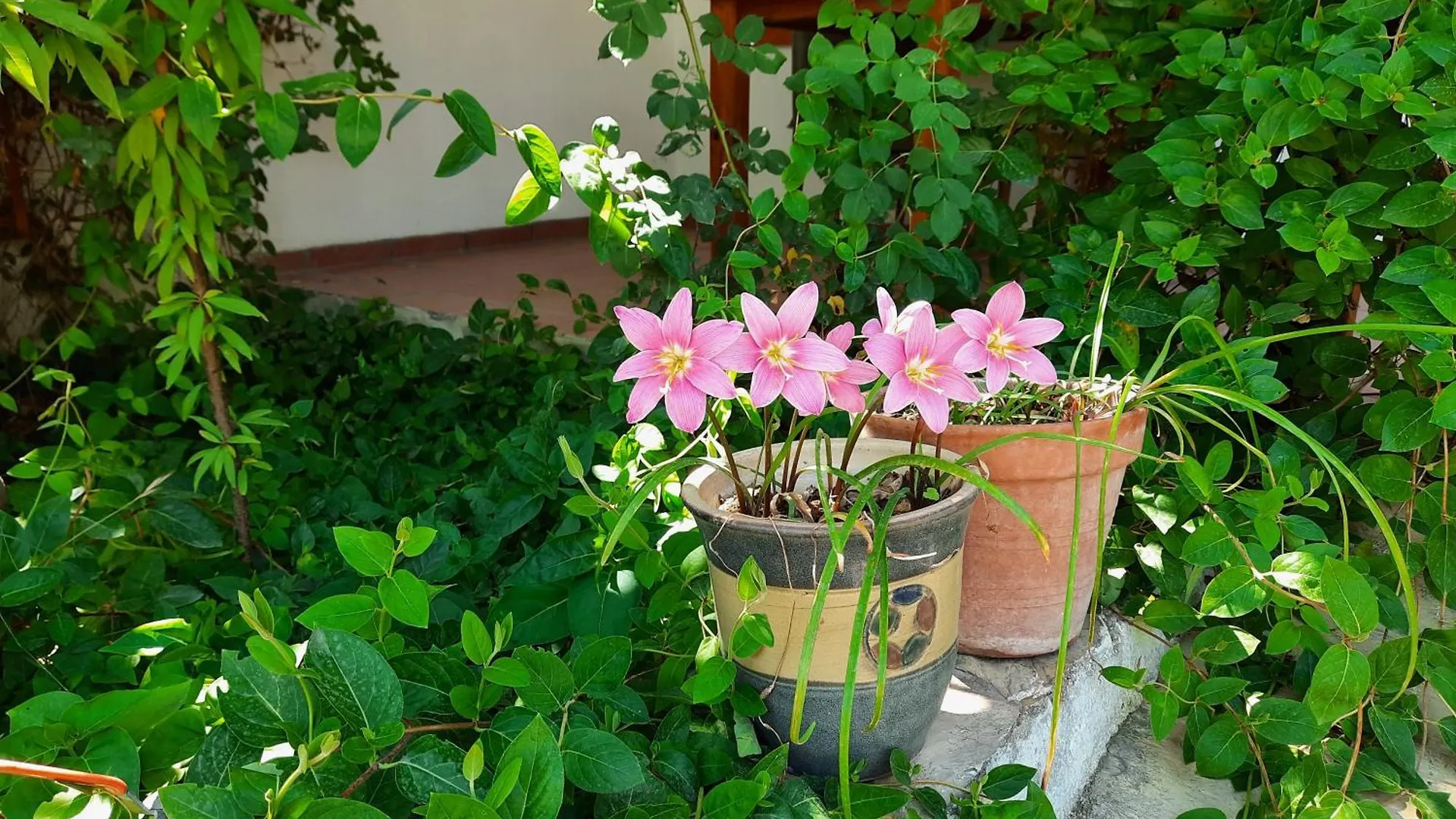 Ionia Guest House Aydin Turquie