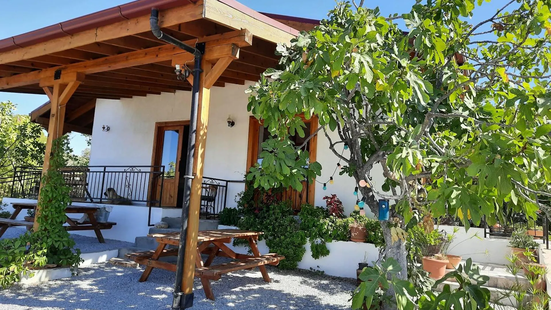 Ionia Guest House Aydin