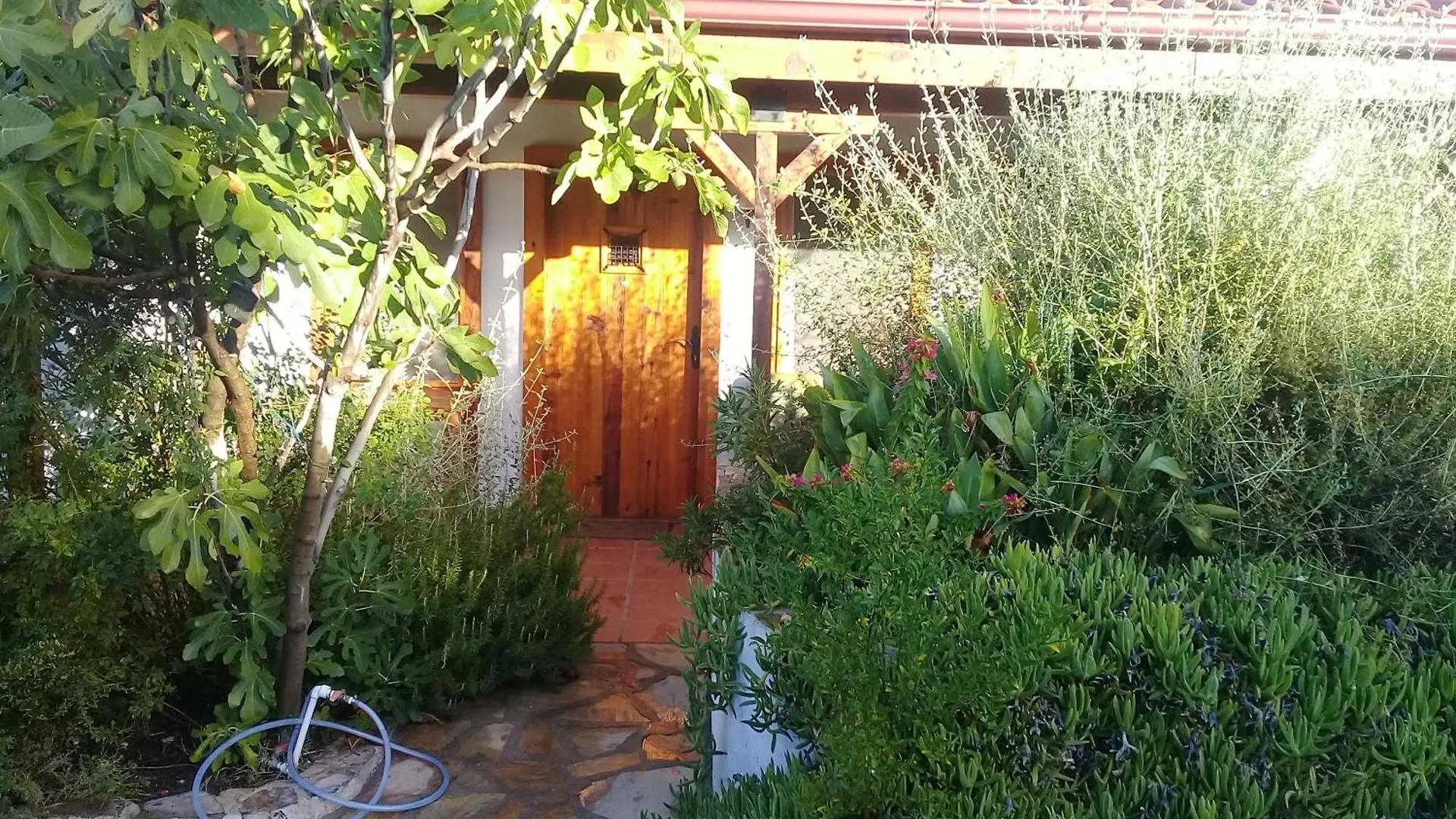 Ionia Guest House Aydin