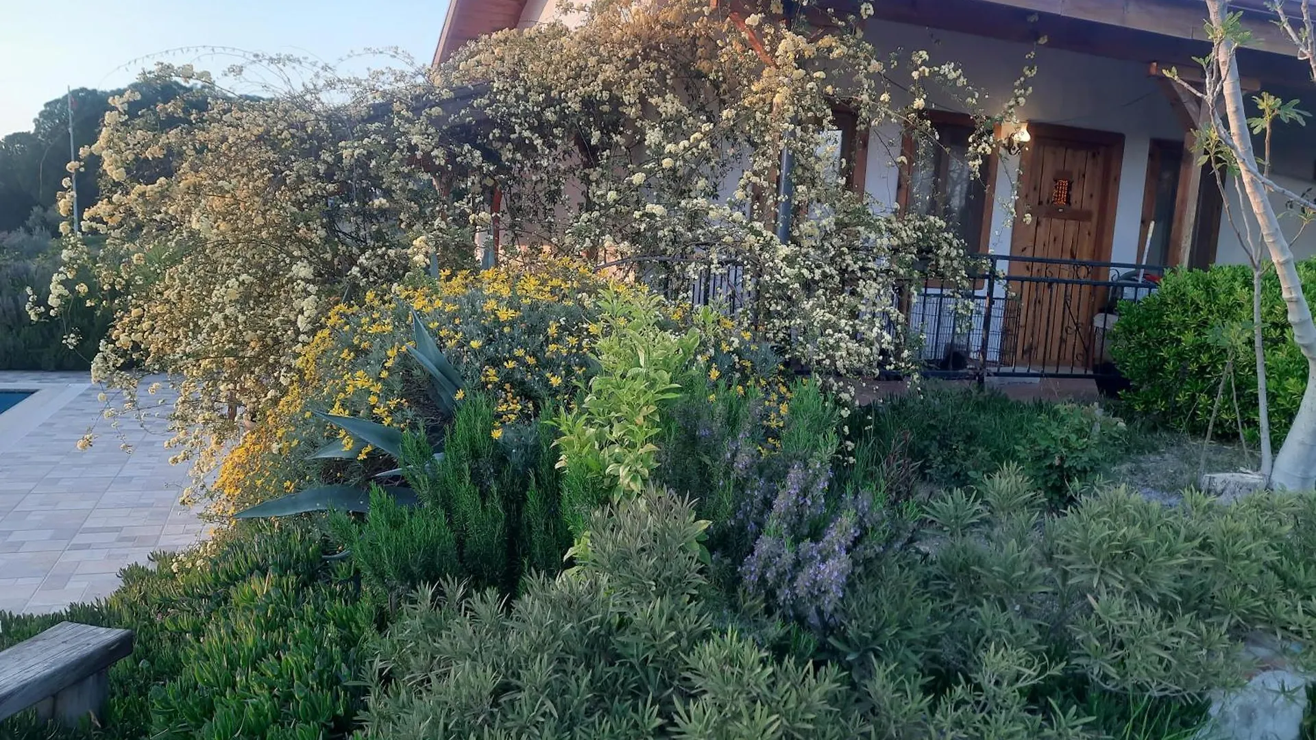 Ionia Guest House Aydin