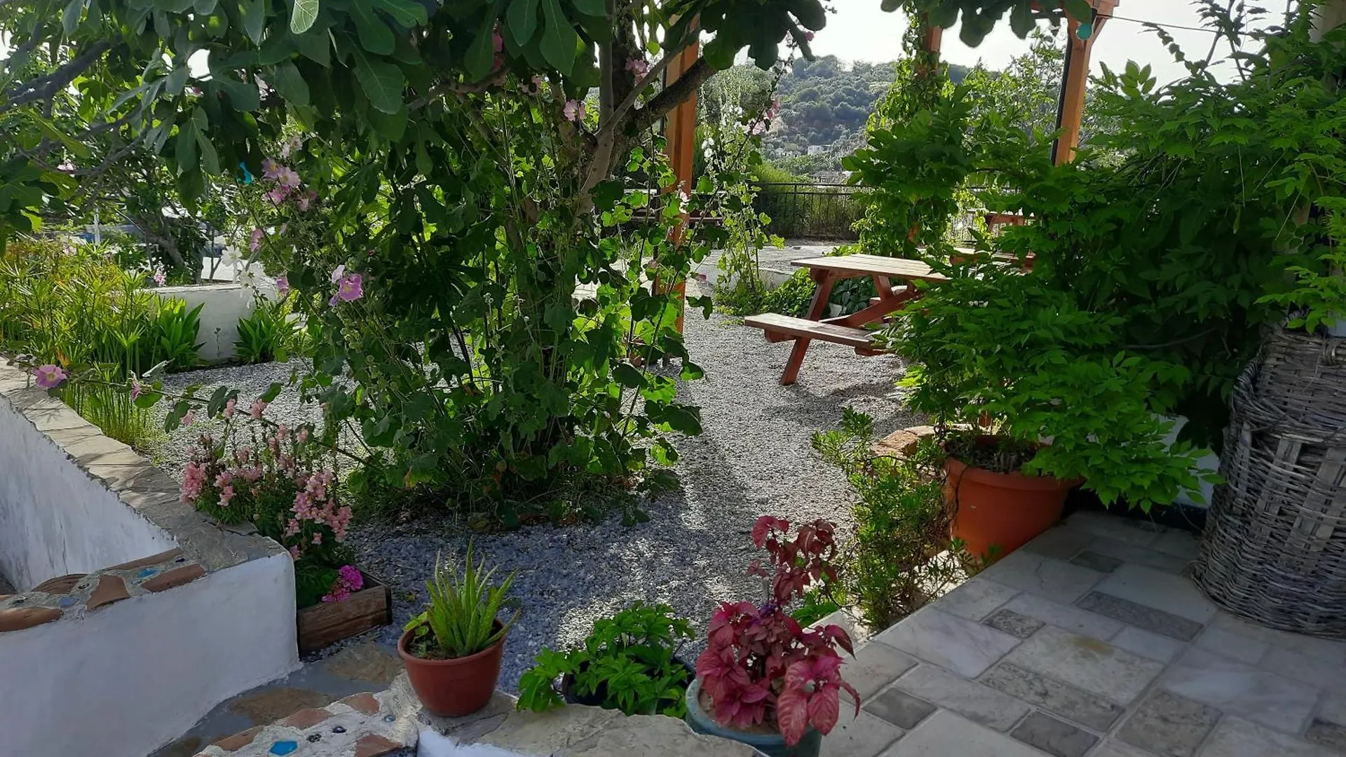 Ionia Guest House Aydin