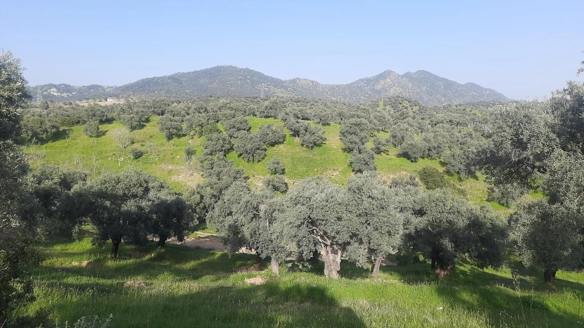 Ionia Guest House Aydin