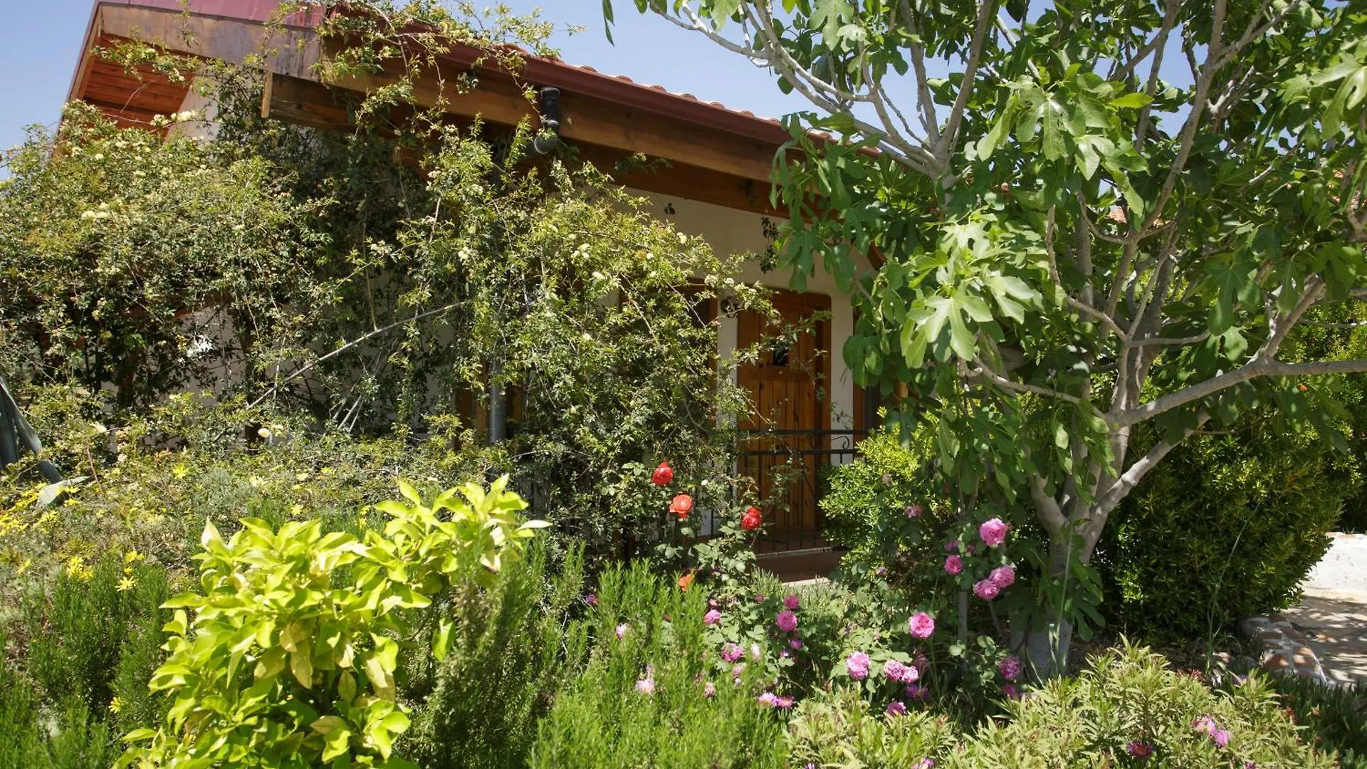 Ionia Guest House Aydin Turkey