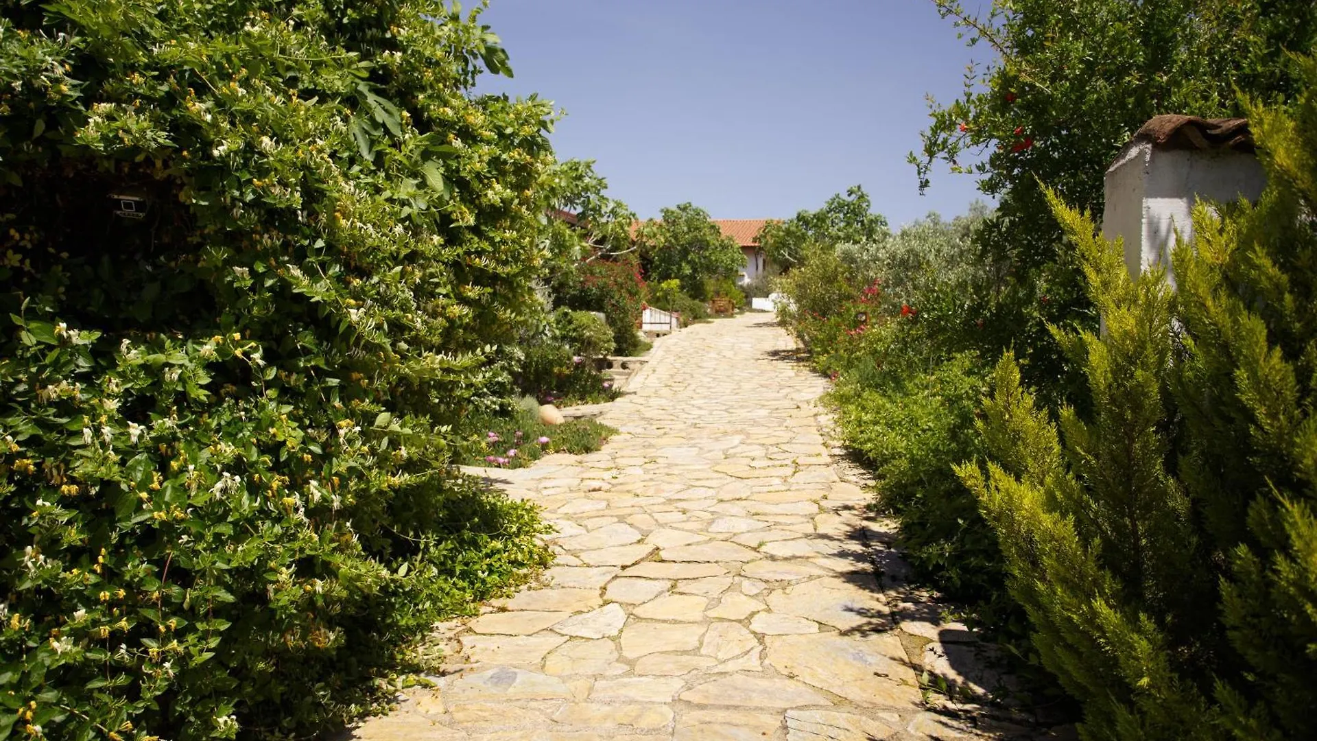 Ionia Guest House Aydin