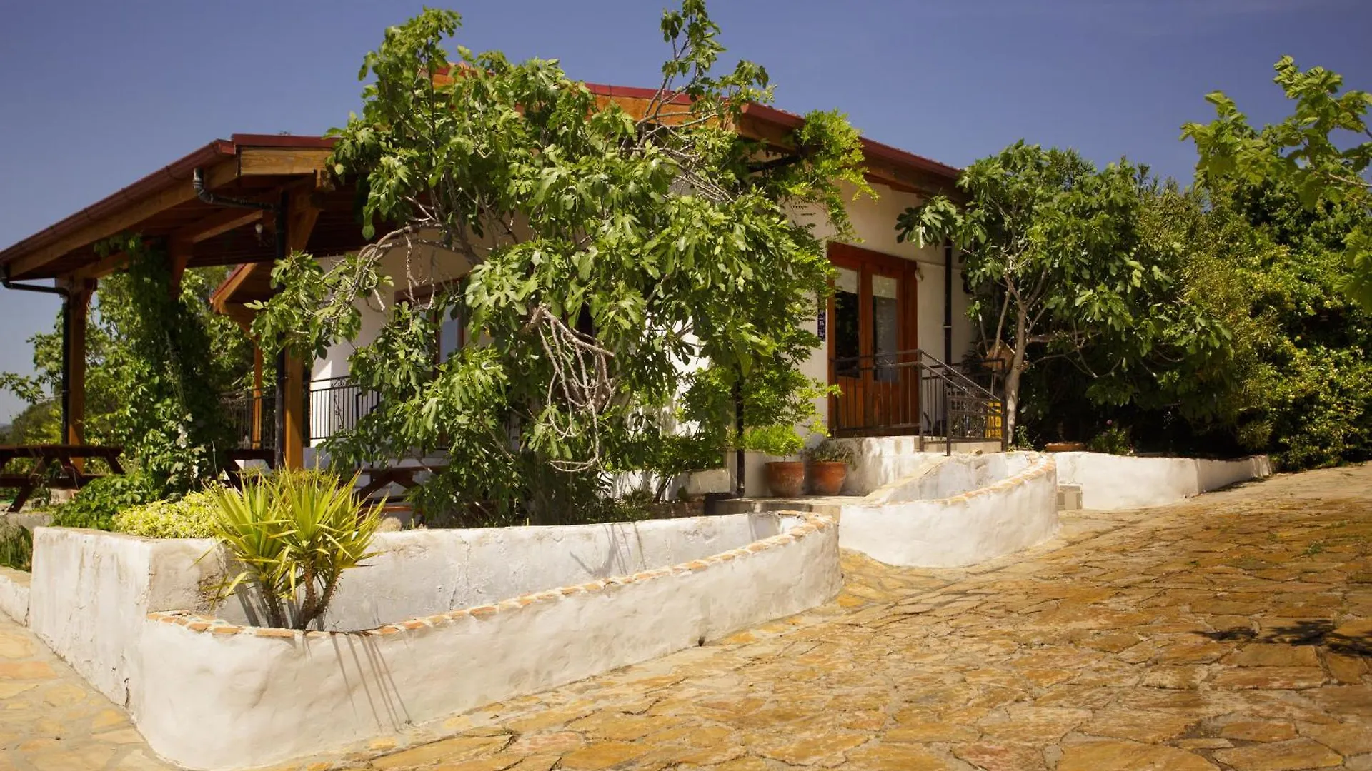 Ionia Guest House Aydin 0*,  Turkey