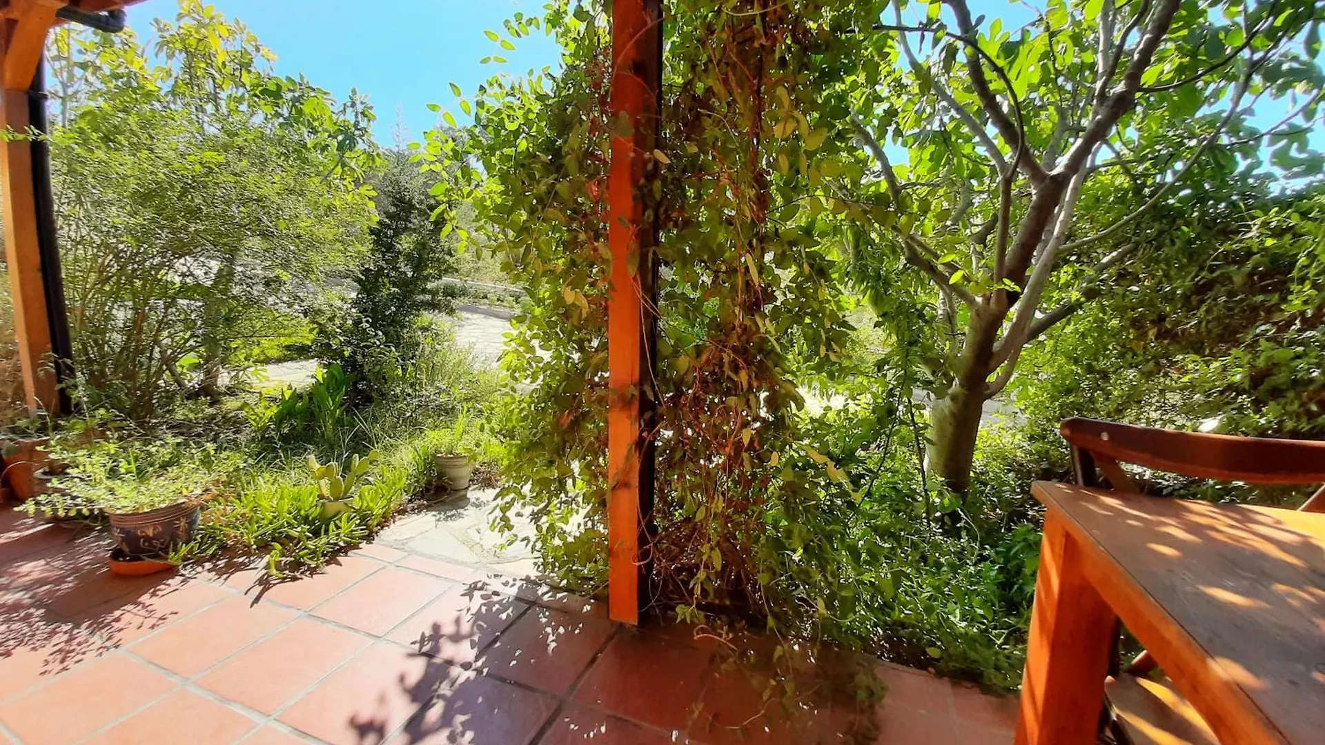 Ionia Guest House Aydin