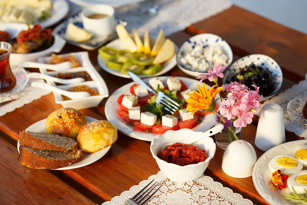 Ionia Guest House Aydin